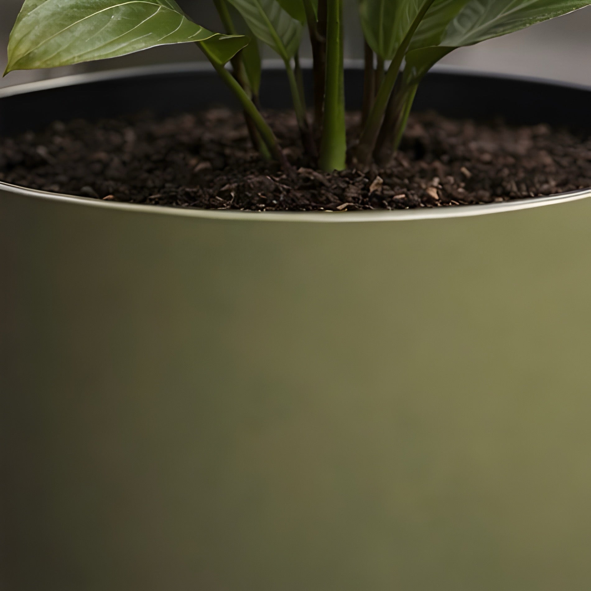 Luxe Grove Planter Trio