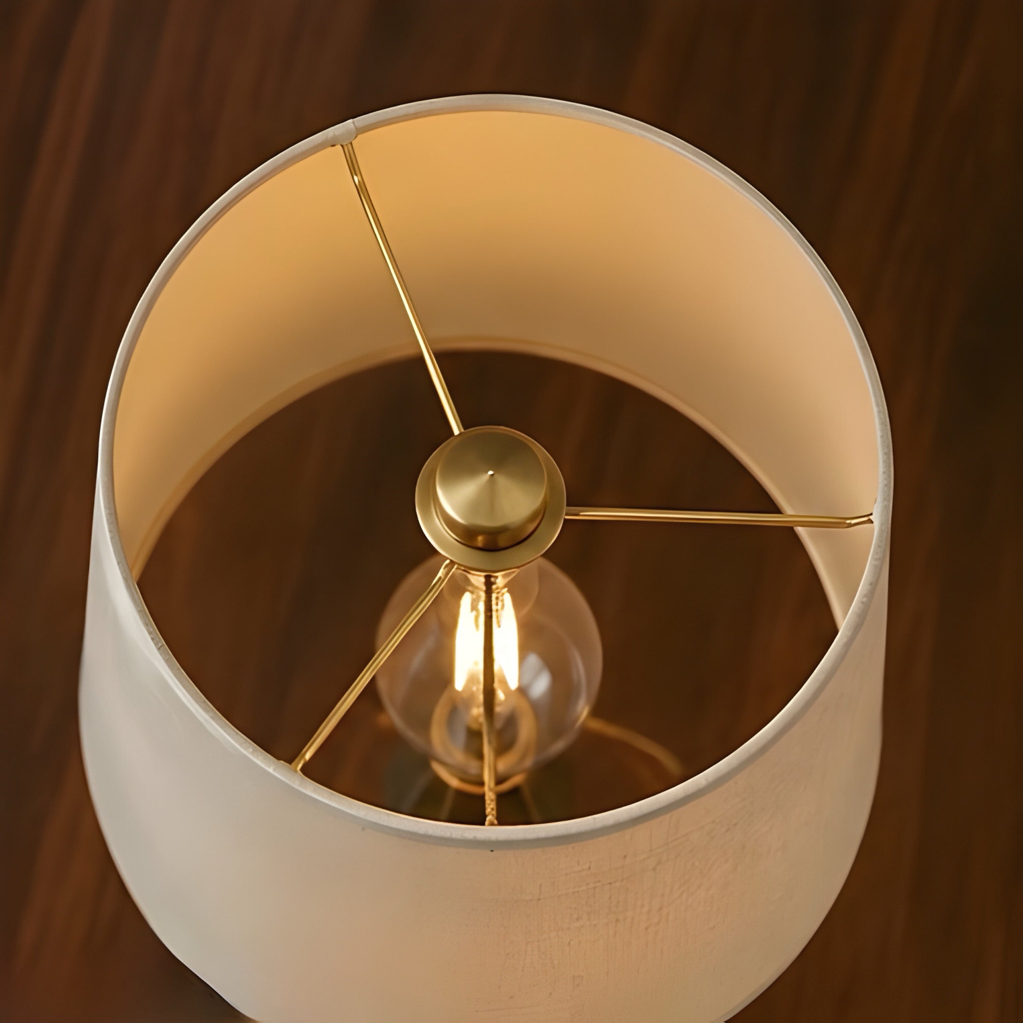 Solenne Table Lamp