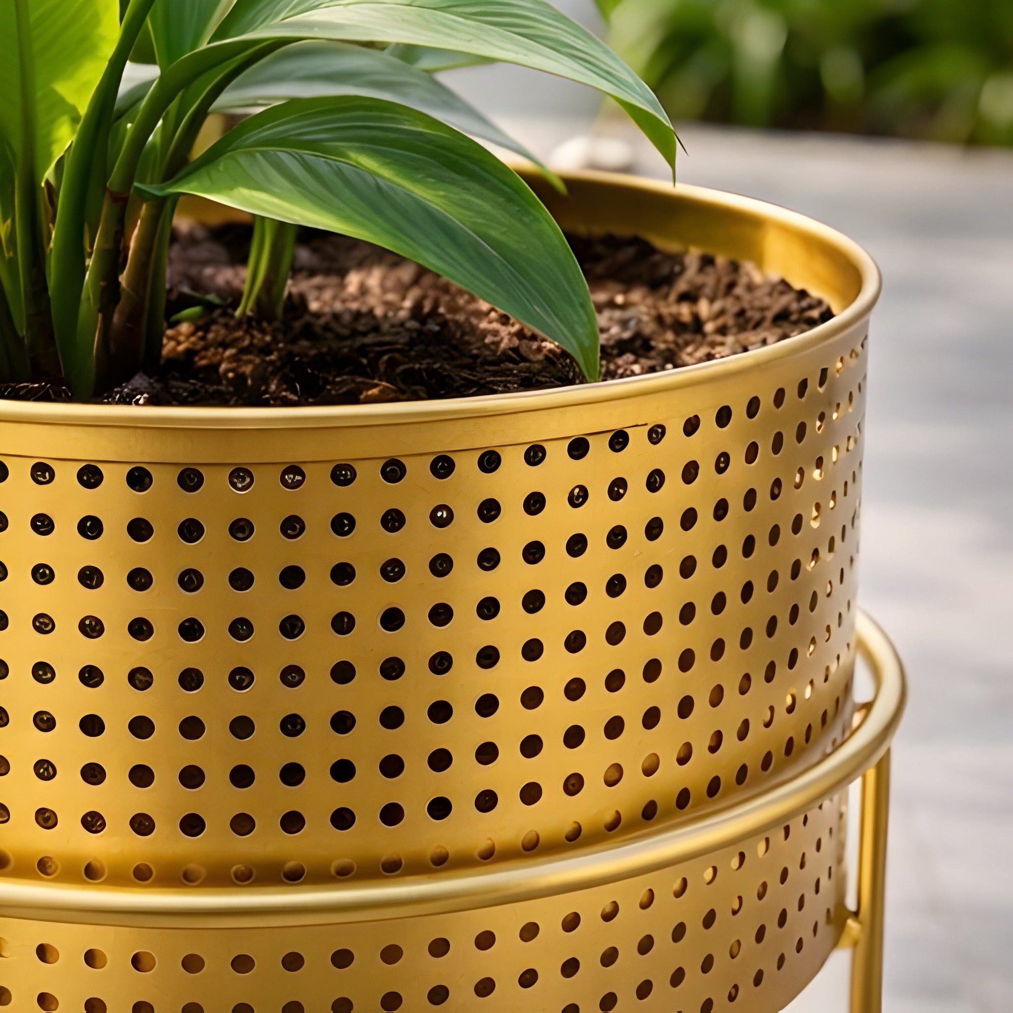 Terra Rise Garden Planter Set