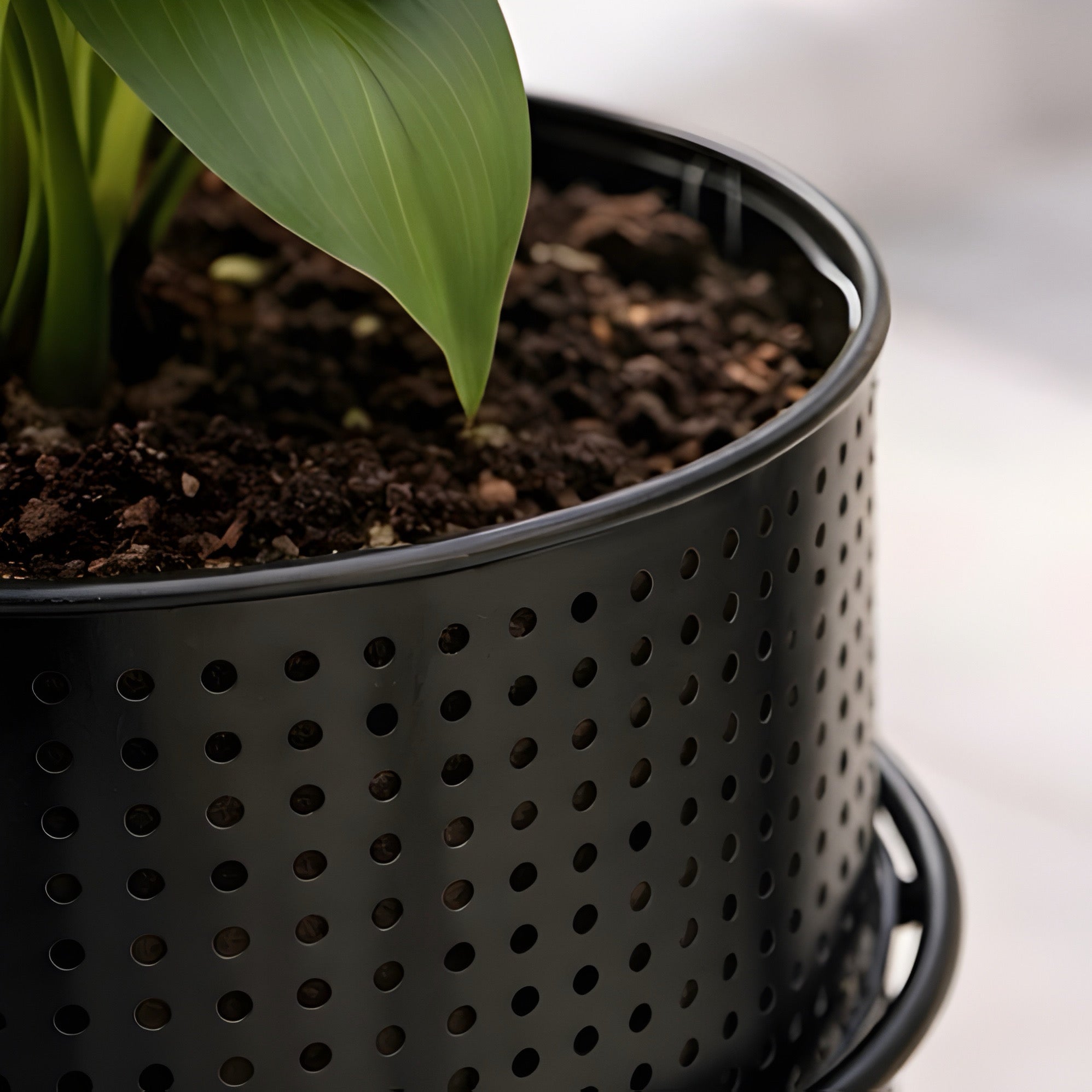 Terra Rise Garden Planter Set