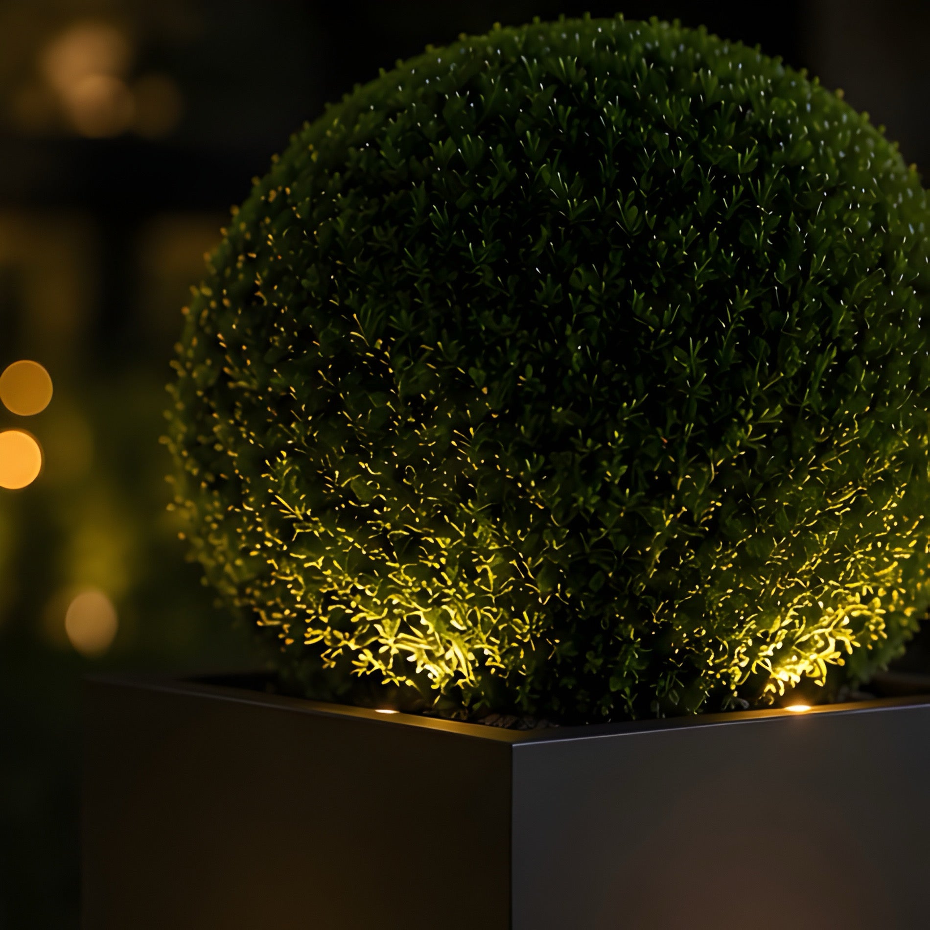 Modern Lighting Planter Set