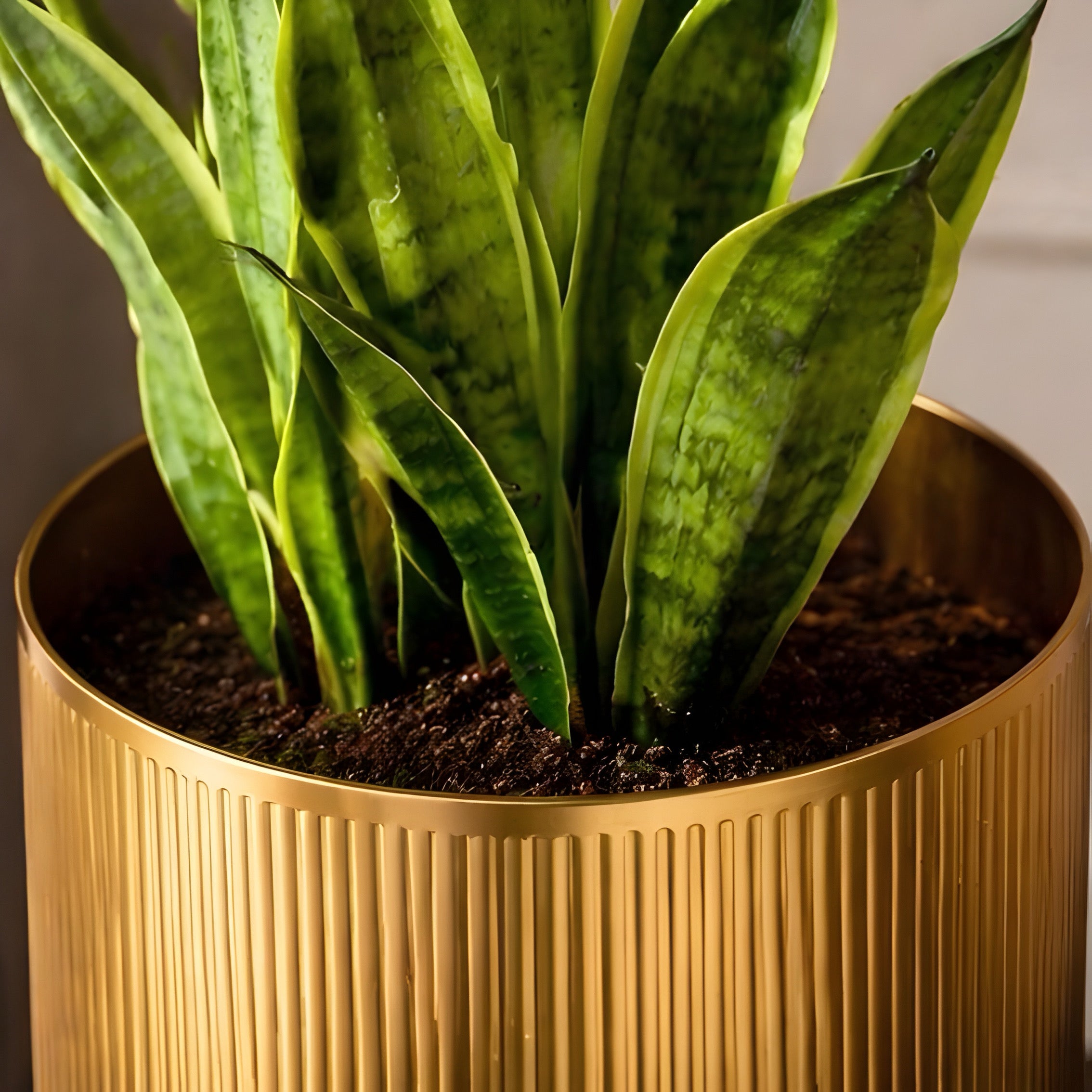 Modern Ridge Planter with Stand