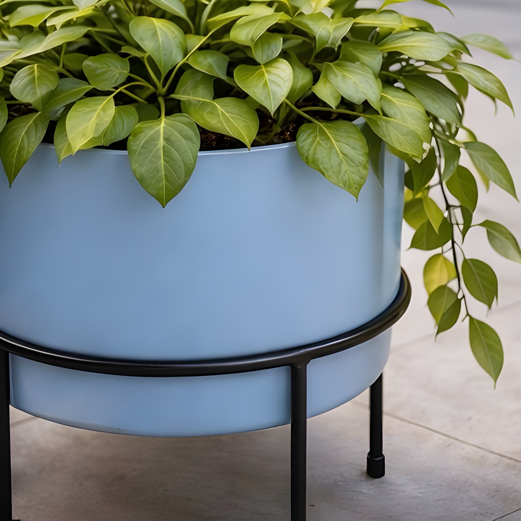 Luxe Grove Planter Trio