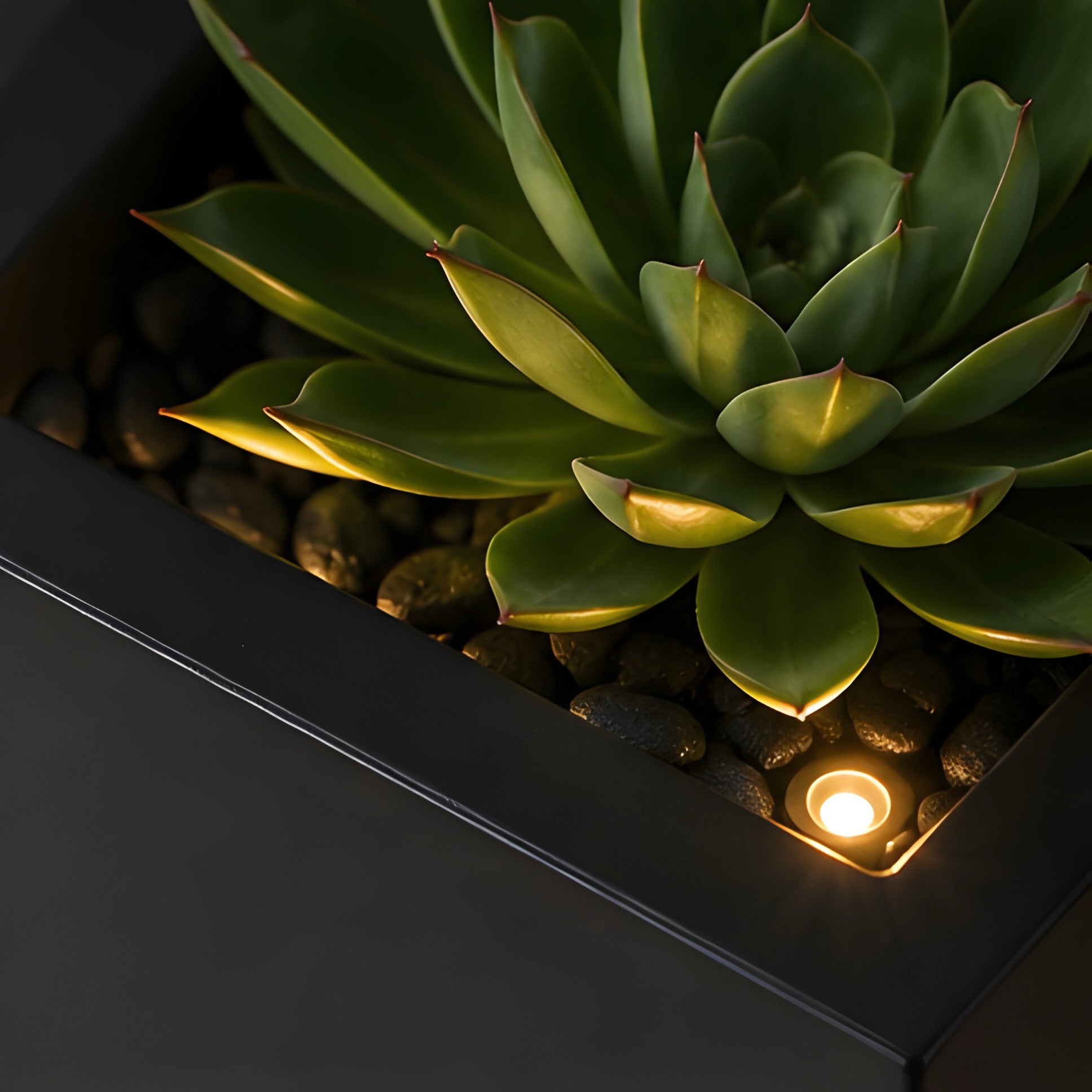Modern Lighting Planter Set
