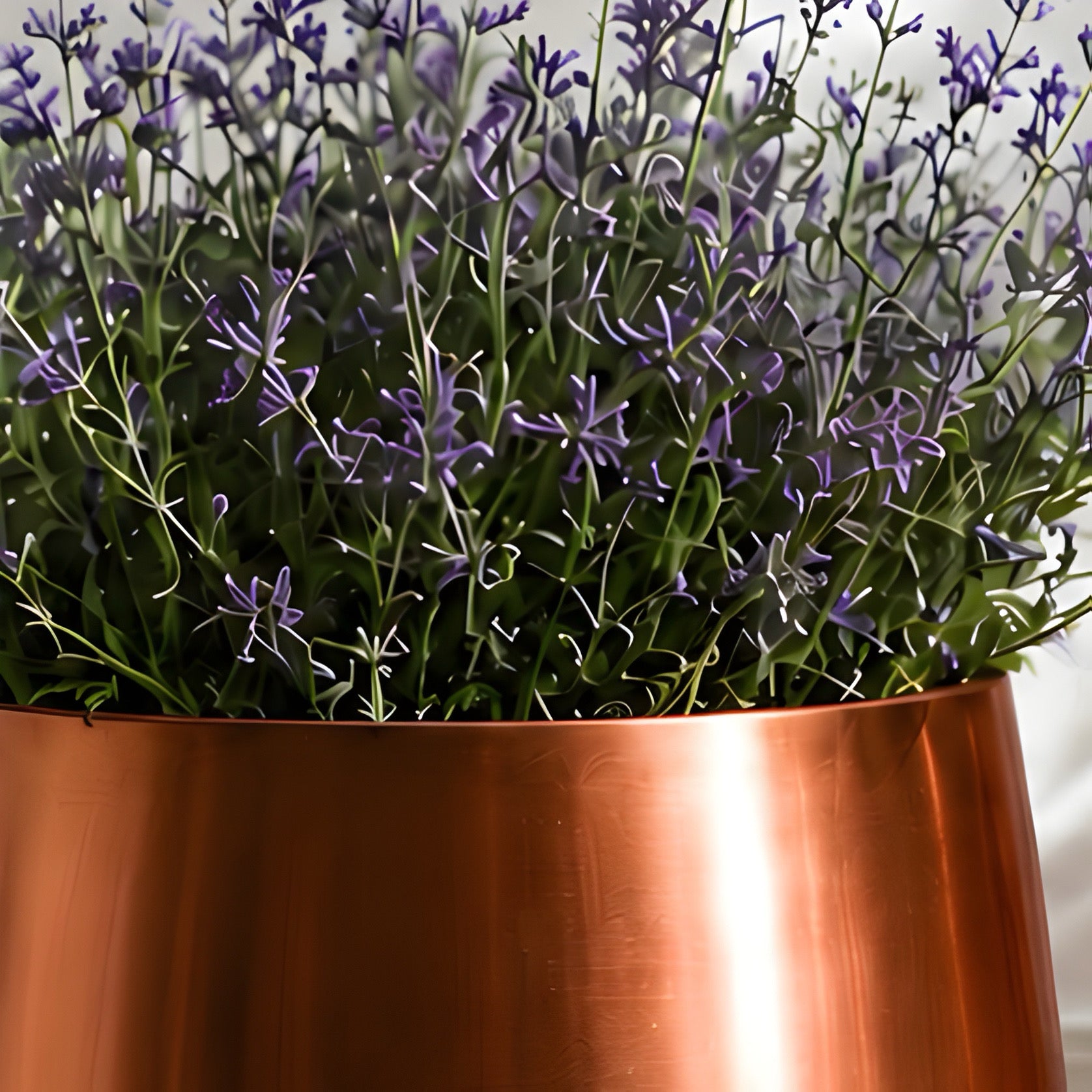 Forma Vessel Collection
