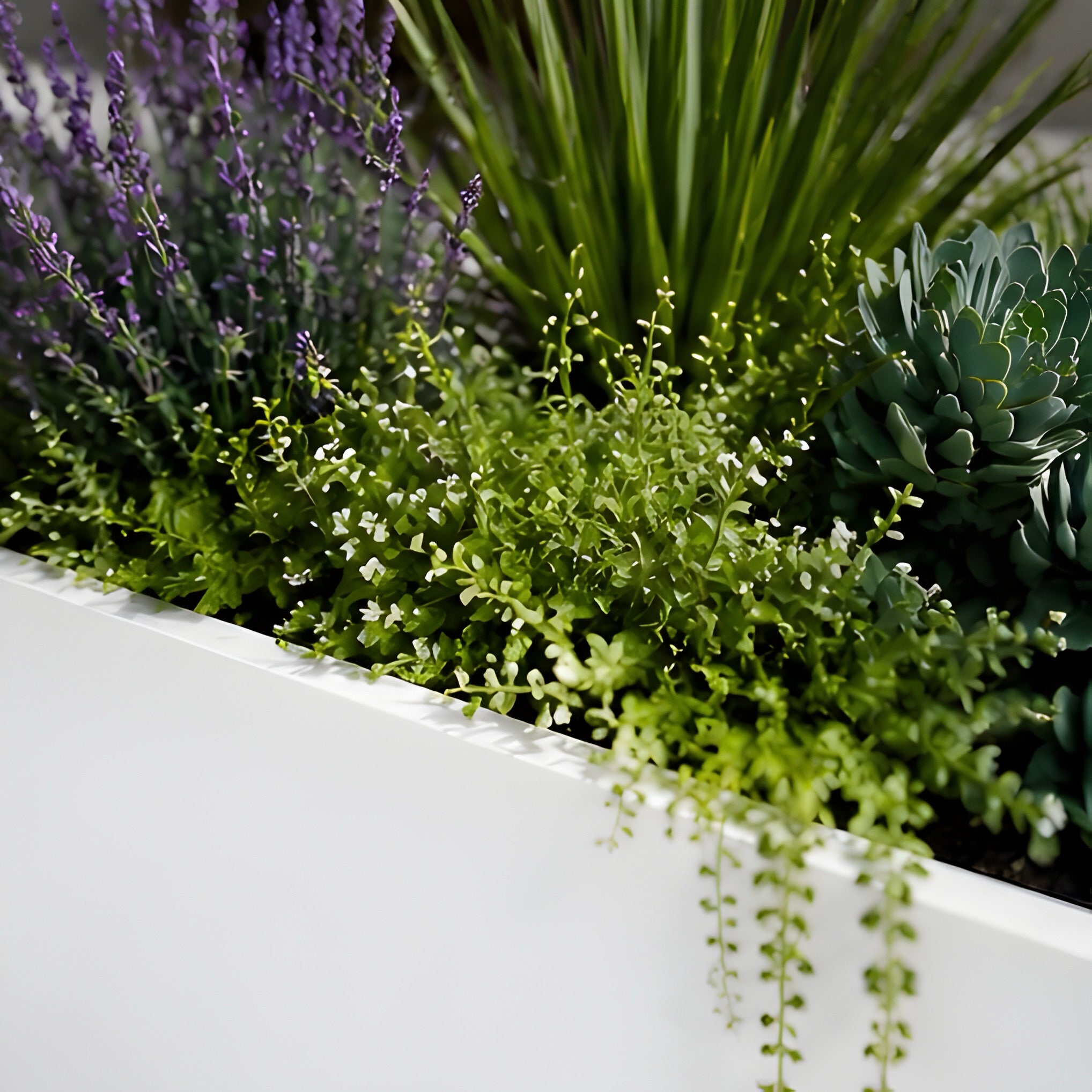 Monolith Rectangular Planter