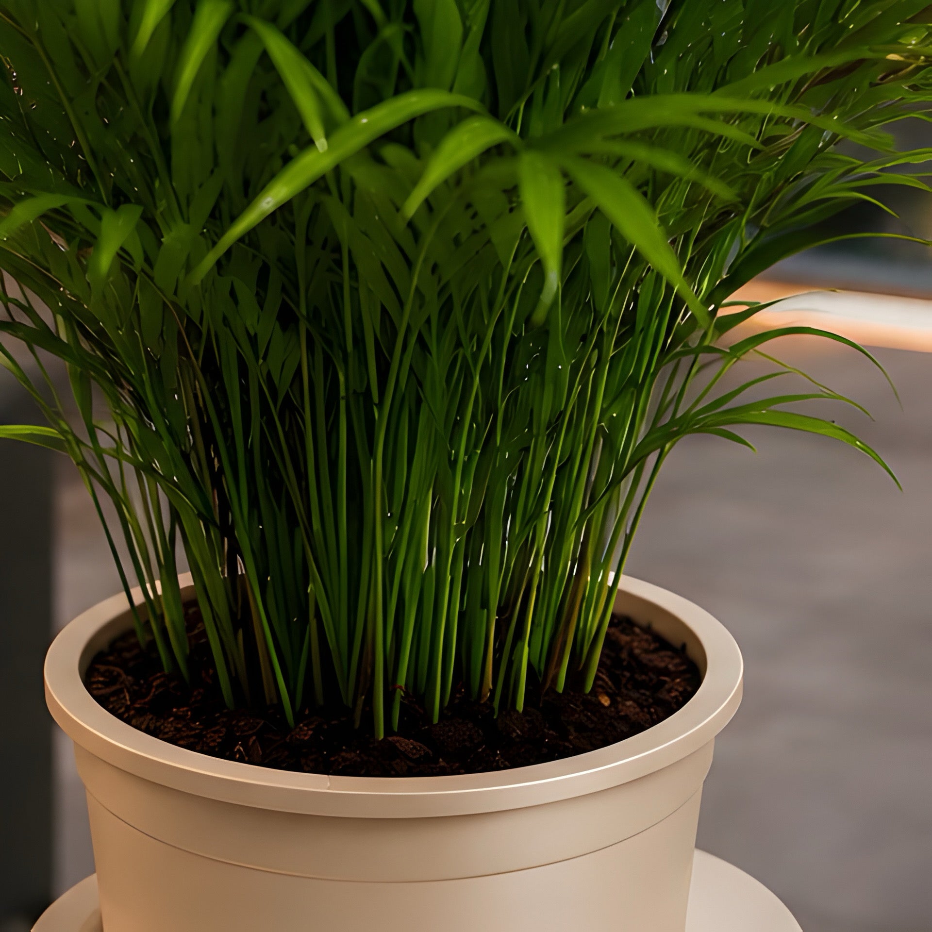 Double-tier planter