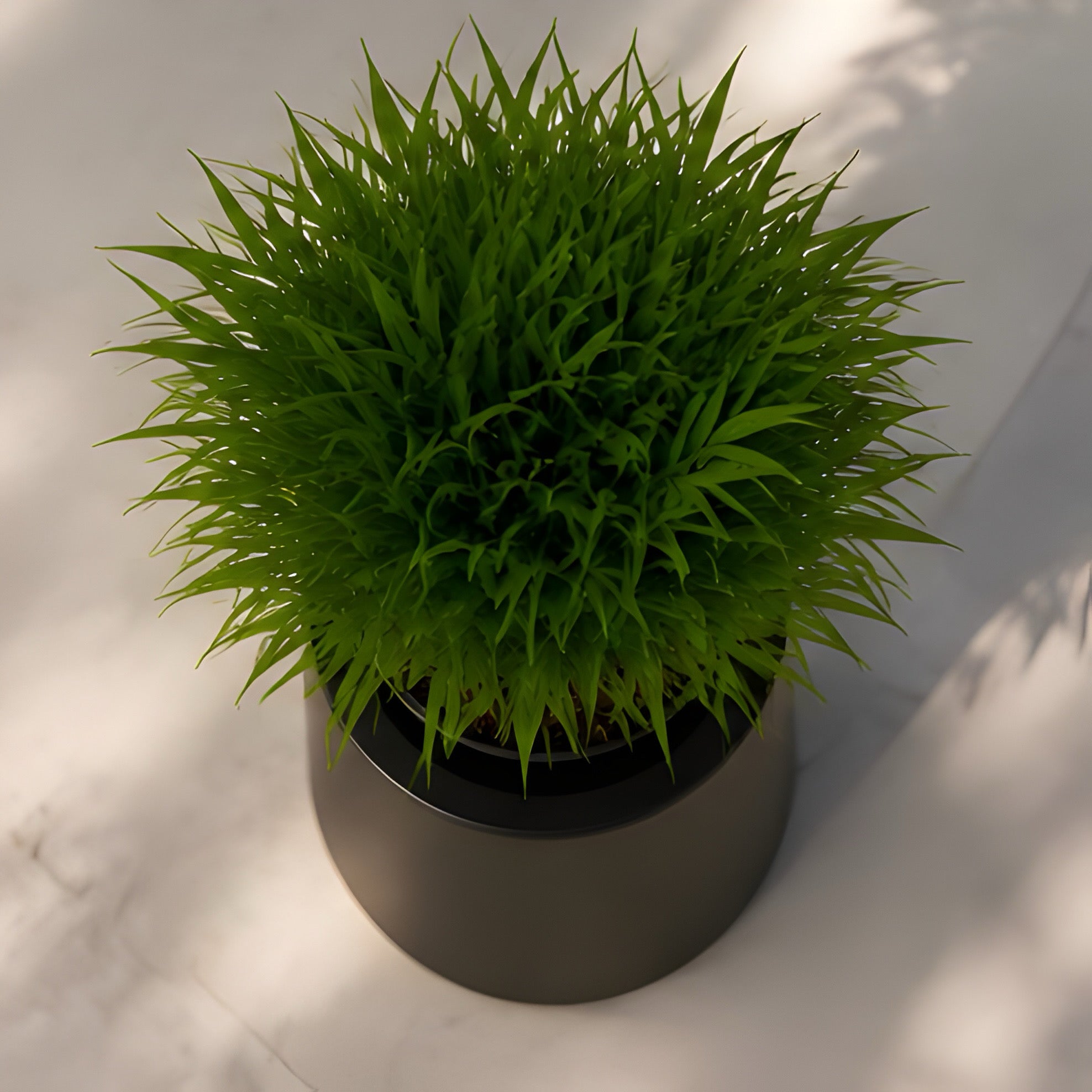 Double-tier planter